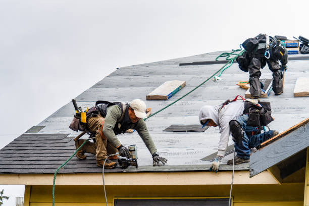 Professional Roofing technician working in Woodward, IA